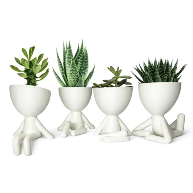 Kit 4 Vasos Bob Plant 10cm
