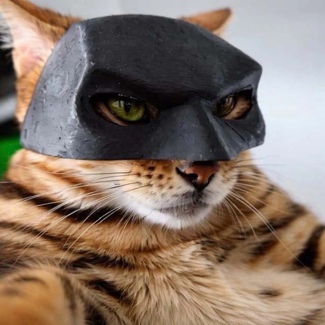 Máscara de Gato Batman